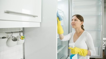 Cara Membersihkan Bunga Es di Freezer agar Kulkas Lebih Awet