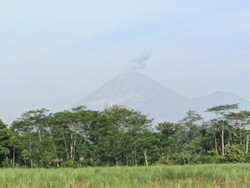 Semeru Erupsi 5 Kali, Abu Vulkanik Membubung hingga 1 Km