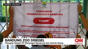 VIDEO: Pemkot Bandung Segel Aset Bandung ZOO