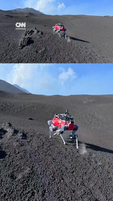 Robot Anjing Diuji di Gunung Etna, Bisa Cium Gas dan Prediksi Letusan