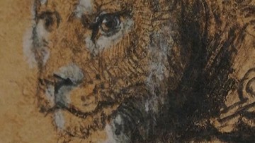 Lukisan Singa Karya Rembrandt Laku Rp300 Miliar dalam Lelang