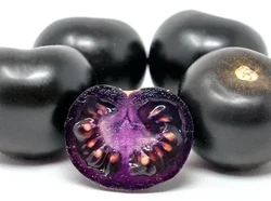 Unik dan Kaya Manfaat, Tomat Ungu Kini Resmi Dijual di Australia