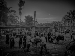 Tradisi Bantai Adat, Simbol Kebersamaan dan Kearifan Budaya Jambi