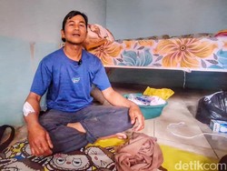 Heroik! Ujang Duel Lawan Macan Tutul Demi Selamatkan Anak di Bandung