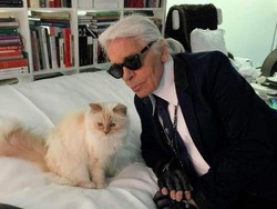 Kucing Karl Lagerfeld Kebagian Warisan, Sosok Misterius Gugat Harta Rp4 Triliun