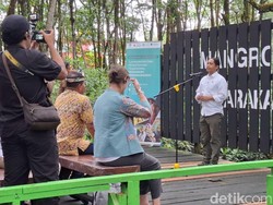 Peringati Hari Lahan Basah, Menhut Sebut Potensi Mangrove RI Terbesar di Dunia