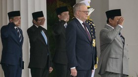 PM Australia Albanese Tiba di Istana Temui Prabowo