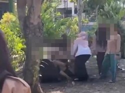 Siswi SMA di Bengkulu Dikeroyok Kakak Kelas, Berawal dari Komentar IG