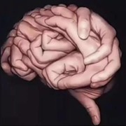 Tes Kepribadian: Otak atau Tangan yang Pertama Kamu Lihat? Bisa Ungkap Prioritas dalam Hidup