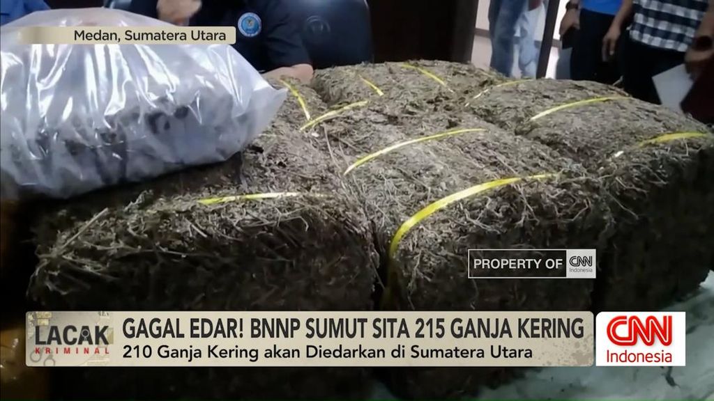 VIDEO: Ancam Negara, BNN Bongkar Jaringan Peredaran Narkoba