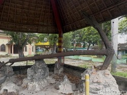 Jangkar Dampu Awang, Ikon Rembang yang Menyimpan Misteri