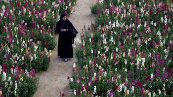 FOTO: Lihat Kebun Penuh dengan Bunga di UAE, Semuanya Indah