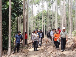 Video Kapolda Riau Turun Cek Lokasi Gajah Tanpa Kepala yang Dibunuh Pemburu