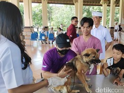Badung Siapkan 121 Ribu Dosis Vaksin Rabies