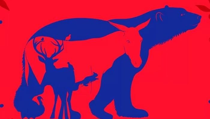 Tes Kepribadian: Gambar Hewan Pertama yang Dilihat Bisa Ungkap Kepribadianmu, Total Ada 8 Hewan!