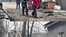 Drone Rusia Serang Shelter Hewan di Ukraina, 8 Anjing Jadi Korban