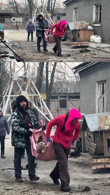 Drone Rusia Serang Shelter Hewan di Ukraina, 8 Anjing Jadi Korban