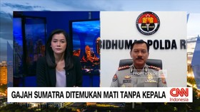VIDEO: Gajah Sumatra Ditemukan Mati Tanpa Kepala