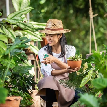 Ini 7 Buah yang Bisa Ditanam di Depan Rumah, Tak Perlu Punya Lahan Luas