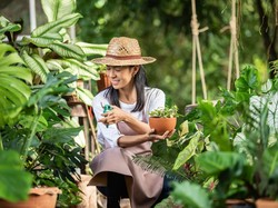 Ini 7 Buah yang Bisa Ditanam di Depan Rumah, Tak Perlu Punya Lahan Luas
