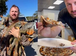 Cuaca Dingin Bikin Iguana Jatuh dari Pohon, Kini Malah Jadi Topping Pizza
