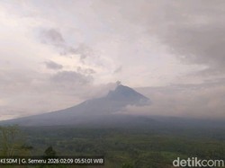 Gunung Semeru Erupsi, Kolom Abu Teramati Setinggi 500 Meter