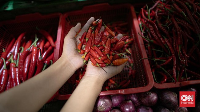 Harga pangan nasional terpantau bervariasi. Cabai rawit merah Rp78.900/kg dan daging ayam ras Rp41.050/kg menurut data PIHPS Bank Indonesia.