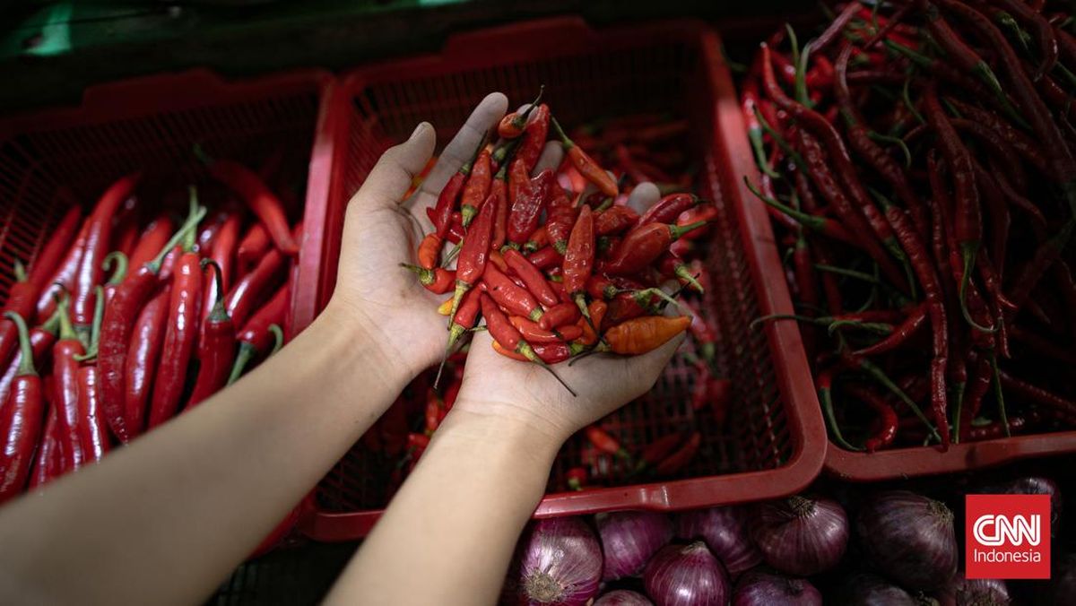 Hampir 10 Hari Jelang Lebaran, Harga Ayam dan Cabai Terus Naik