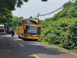 Bus Pariwisata Ringsek Hantam Pohon di Kawasan Hutan Gilimanuk