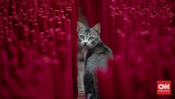 FOTO: Meraup Cuan Bisnis Hio Jelang Perayaan Imlek