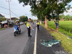 Tabrakan Maut Truk Vs Truk di Jalur Tengkorak Denpasar-Gilimanuk, 1 Orang Tewas