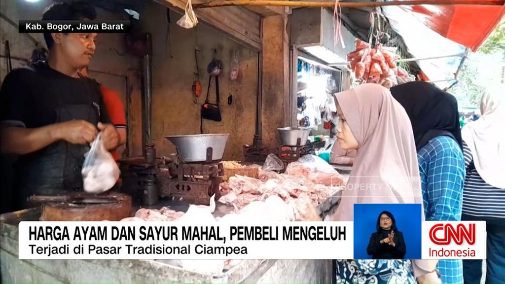 VIDEO: Awal Pekan, Harga Ayam dan Cabai Meroket