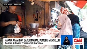 VIDEO: Awal Pekan, Harga Ayam dan Cabai Meroket