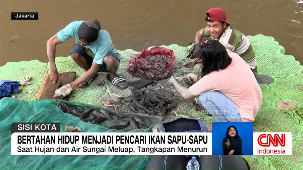 VIDEO: Bertahan Hidup Menjadi Pencari Ikan Sapu-Sapu
