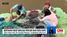 VIDEO: Bertahan Hidup Menjadi Pencari Ikan Sapu-Sapu