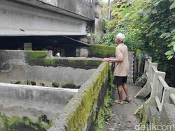 Kisah Makrupin dan Kandang Kambing Viral di Bawah Jembatan Badung