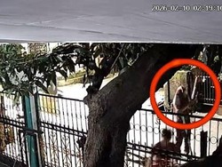 Remaja Diduga Bawa Senpi Saat Tawuran di Makassar, Polisi: Senjata Mainan