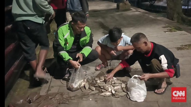 Ribuan ikan di Sungai Cisadane yang mengambang diduga akibat keracunan limbah kimia jadi rebutan warga Tangerang.