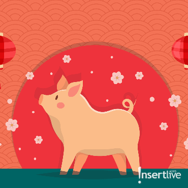 Catat! Ini Warna yang Sebaiknya Dihindari Shio Babi di 2026 