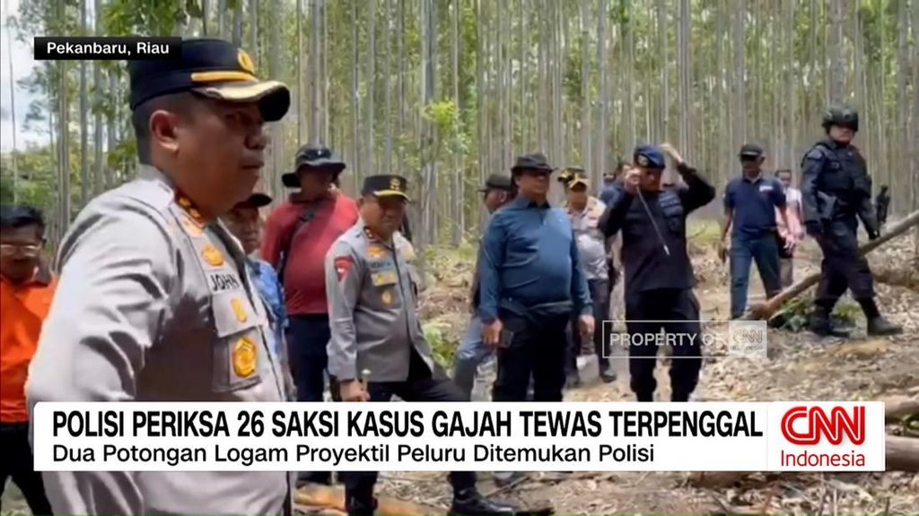 VIDEO: Polisi Periksa 26 Saksi Kasus Gajah Sumatera Tewas Terpenggal