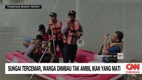 VIDEO: Warga Diimbau Tak Ambil Ikan yang Mati di Sungai Tercemar
