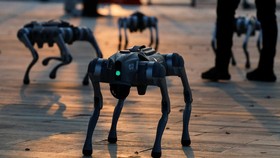 Universitas di India Dihujat Usai Klaim Berhasil Bikin Robot Sendiri