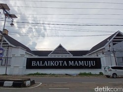 Ironi Pemkab Mamuju: Bangun Balai Kota Rp 62 M, Abaikan Nasib 1.001 Honorer