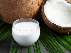 Tombong Kelapa: Manfaat, Kandungan Gizi, dan Cara Nikmat Menyantapnya
