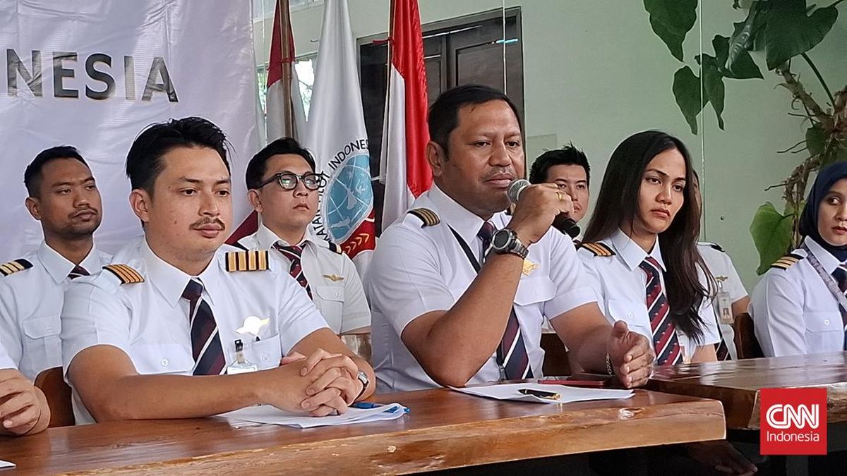 IPI Desak Pemerintah dan KNKP Jamin Keamanan Penerbangan di Papua