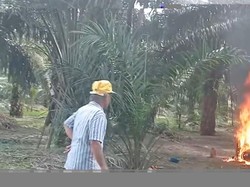 Kakek di Pasangkayu Bakar Motornya gegara Kesal Sering Rusak