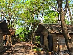 Pudarnya Kilau Emas Hitam di Kampung Sidat Tepian Cimandiri