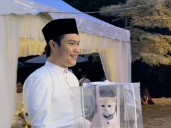 Pecinta Anabul Wajib Tiru! Viral Pria Beri Seserahan Kucing untuk Pasangan