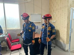 RSUD Palopo 4 Kali Diteror Ular Berbisa, Terbaru Ular Cincin Emas Dievakuasi