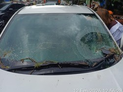 Pohon Tumbang di Jl TB Simatupang Jaksel, Timpa Mobil hingga Kaca Hancur